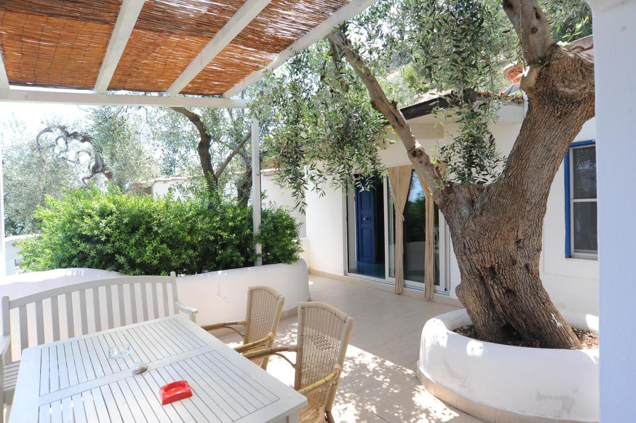 Case Vacanza Montesaraceno Mattinata Εξωτερικό φωτογραφία